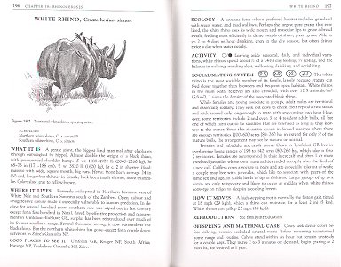 book3b.jpg (34156 bytes)