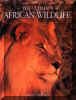 book30a.jpg (19952 bytes)